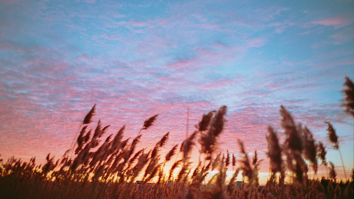 nev_in_color's tweet photo. photos i took at sunrise 🎞 https://t.co/JIAVQXPXb7