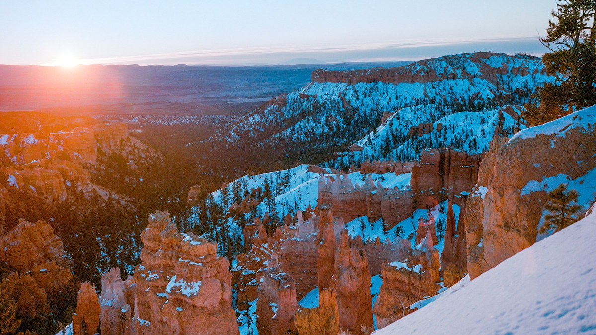 nev_in_color's tweet photo. photos i took at sunrise 🎞 https://t.co/JIAVQXPXb7