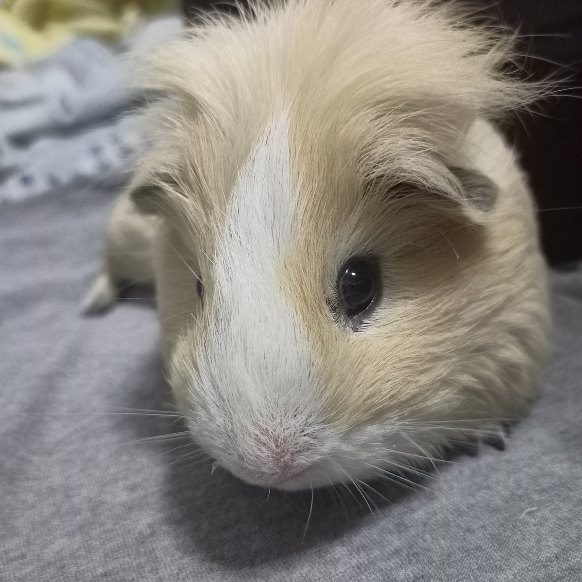 ฉี่ใส่ที่นอนหม่ามี้เป็นเรื่องถนัดป๋มฮาฟฟ