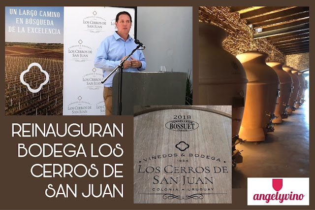 angelyvino's tweet photo. 🆕NUEVA NOTA - BODEGAS🍷
Bodega Los Cerros de San Juan recobra su esplendor 
Reinauguraron la más antigua bodega del Uruguay con una historia de 165 años!  @valeorso #Wine #Vino
Link➡️ https://t.co/MSR7Bk6lNp https://t.co/BaX0AWFR1i