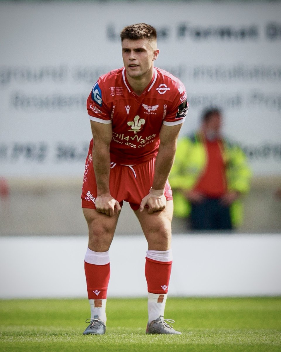 Scarlets Rugby tweet media
