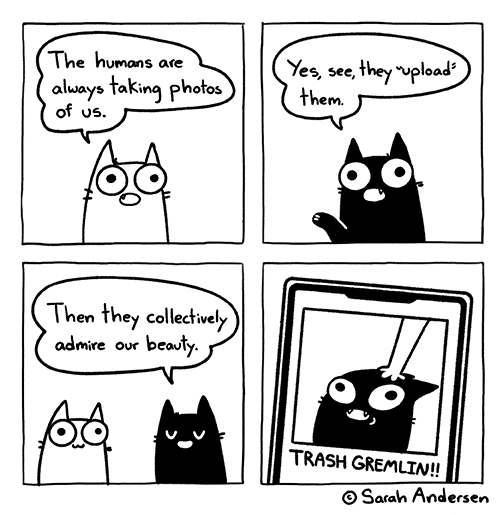 Sarah Andersen tweet media