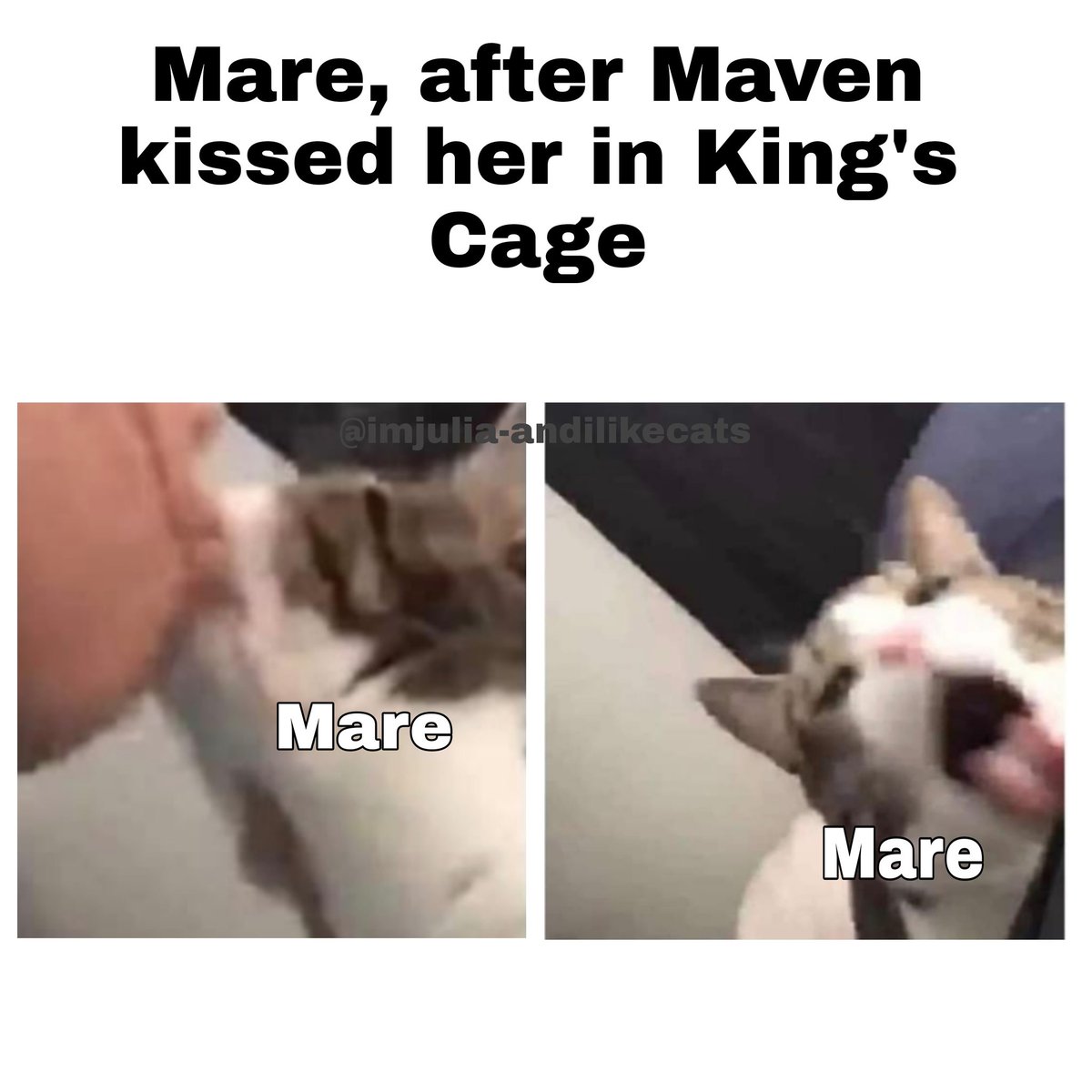 andilikecat's tweet photo. Maven: *shows affection*
Mare: So, I started gagging

#redqueenseries #kingscage #marebarrow #mavencalore https://t.co/yqiTH8nssl