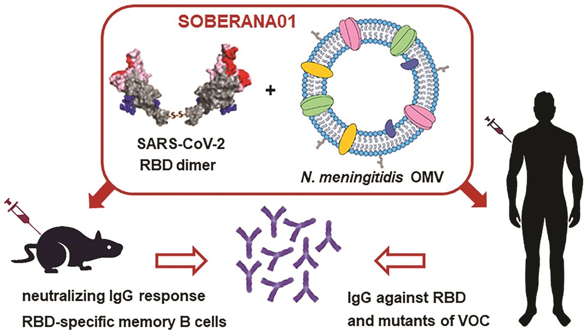 RSC Chemical Biology tweet media