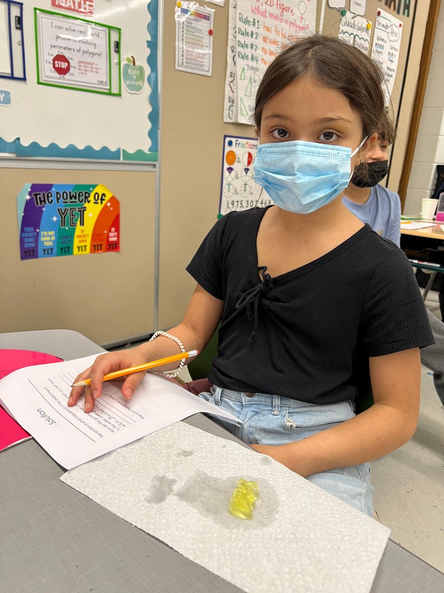 dist126_hg's tweet photo. Ms. Kasprzak's third grade Gummy Bear Lab! We followed the scientific method by predicting what would happen to our gummy bear if it stays in water overnight. #weare126 #hg_126 #hornetstrong @dist126_hg @dist126 https://t.co/lyt39Vndnf