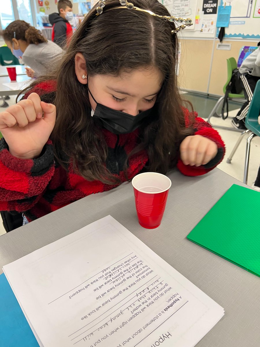 dist126_hg's tweet photo. Ms. Kasprzak's third grade Gummy Bear Lab! We followed the scientific method by predicting what would happen to our gummy bear if it stays in water overnight. #weare126 #hg_126 #hornetstrong @dist126_hg @dist126 https://t.co/lyt39Vndnf