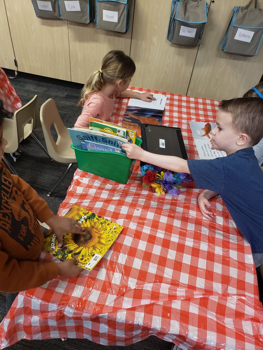 Becky Aleman tweet media