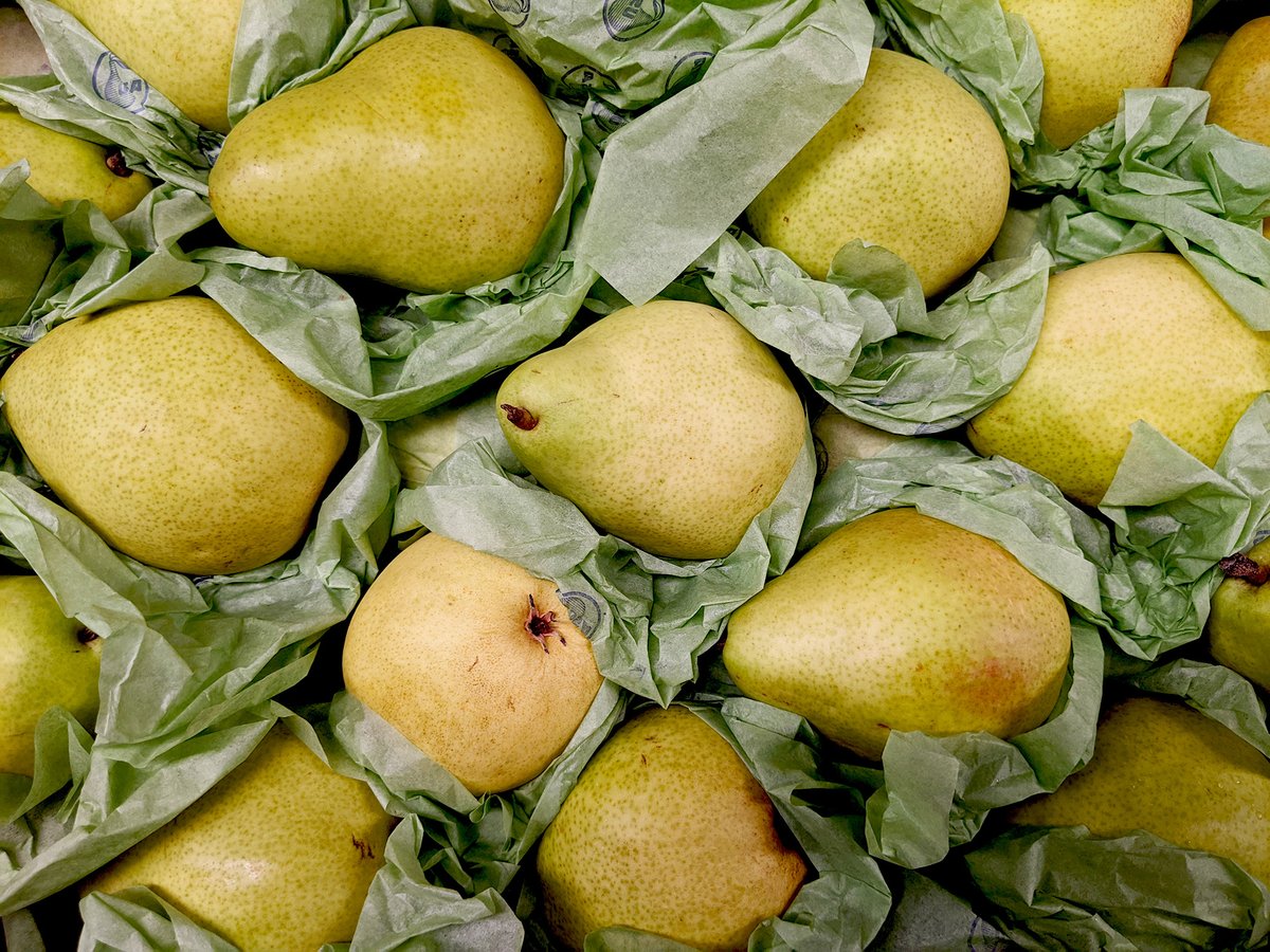 WeHelpArlington's tweet photo. Over the past few weeks, Arlington Charities clients have been treated to some "peary" nice perks in the form of juicy anjou pears. 

#pears #fruit #healthy #arlingtonkindness https://t.co/HVHGngEK8h
