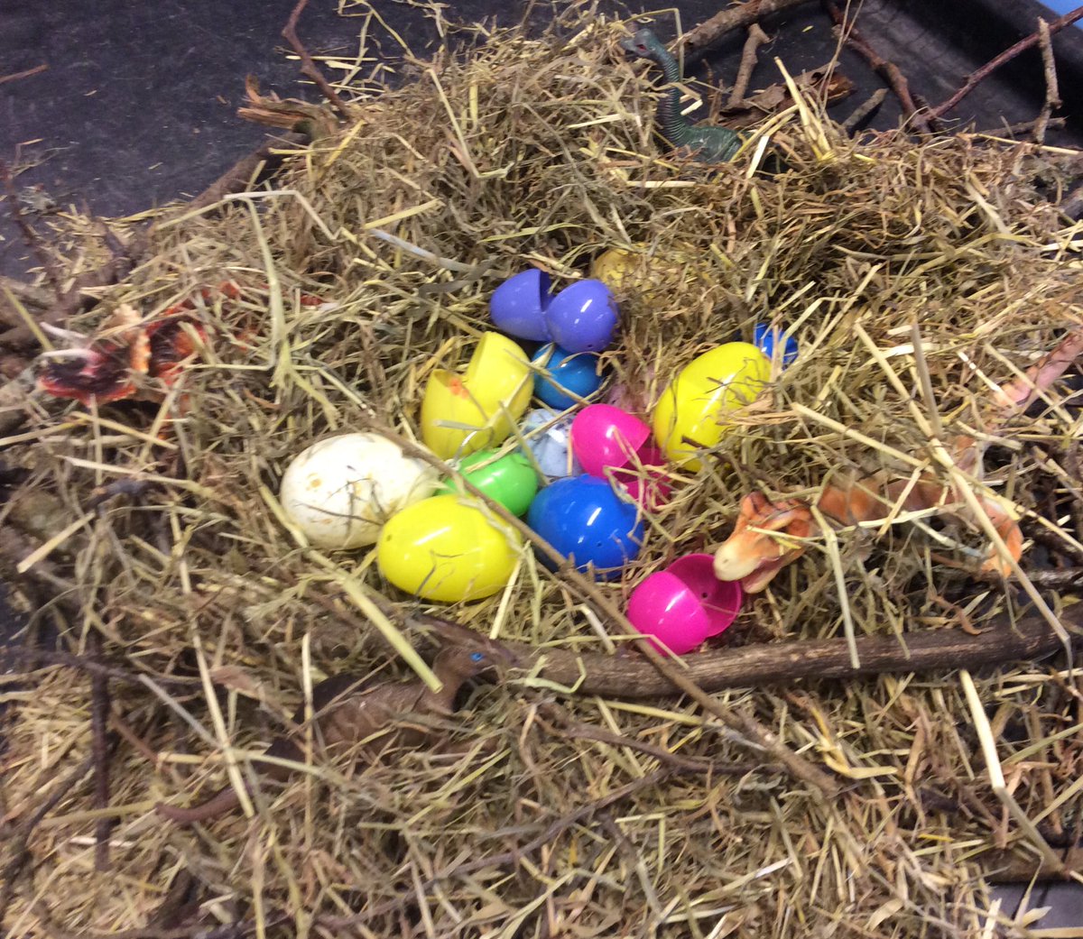penryn_YR's tweet photo. Who guessed that it would be dinosaurs in the eggs? Can you spot them hiding in this photo?🦖🦕🦖🦕 https://t.co/Su2tXV2BMA