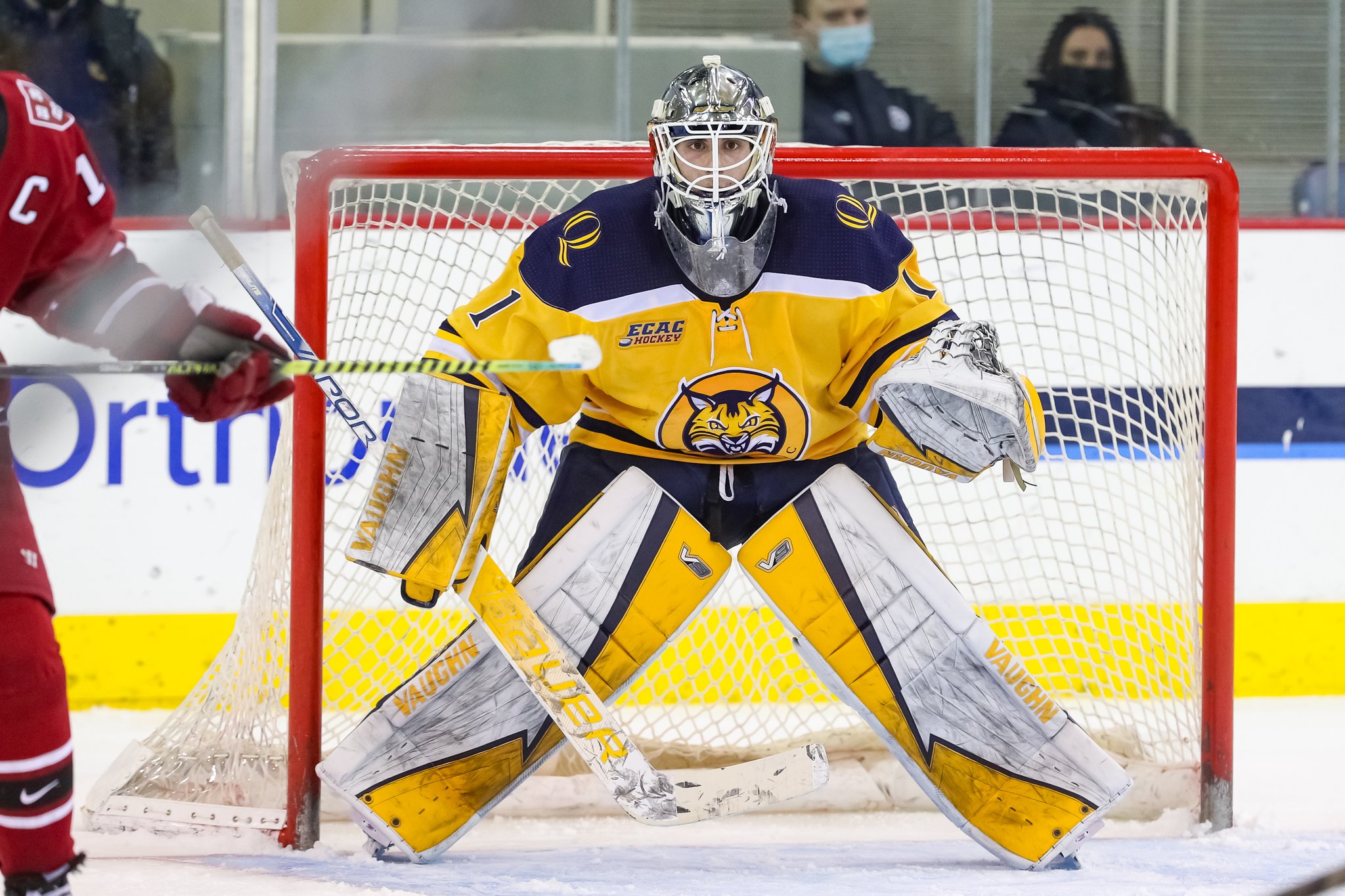 Yaniv Perets - Men's Ice Hockey - Quinnipiac University Athletics