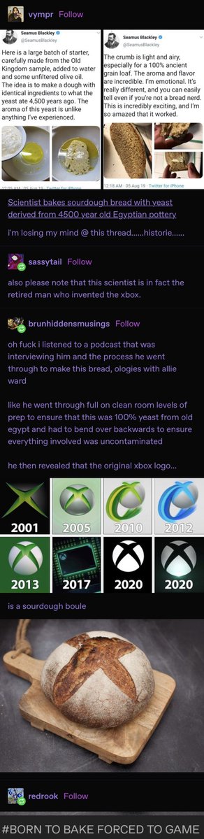 LookAnAlt's tweet image. I have been informed of the most important information ever