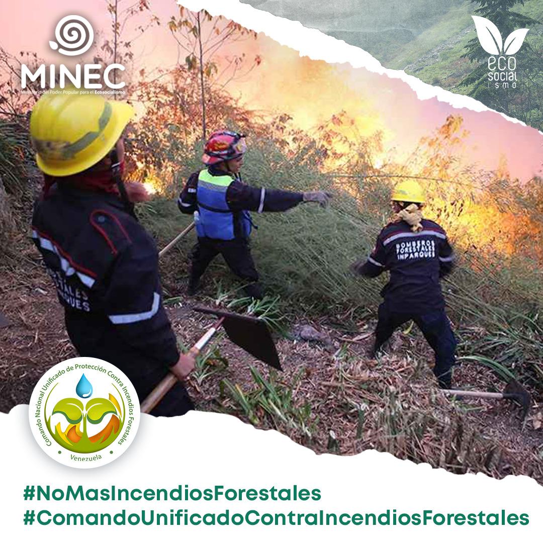 #NoMásIncendiosForestales
#ComandoUnificadoContraIncendiosForestales