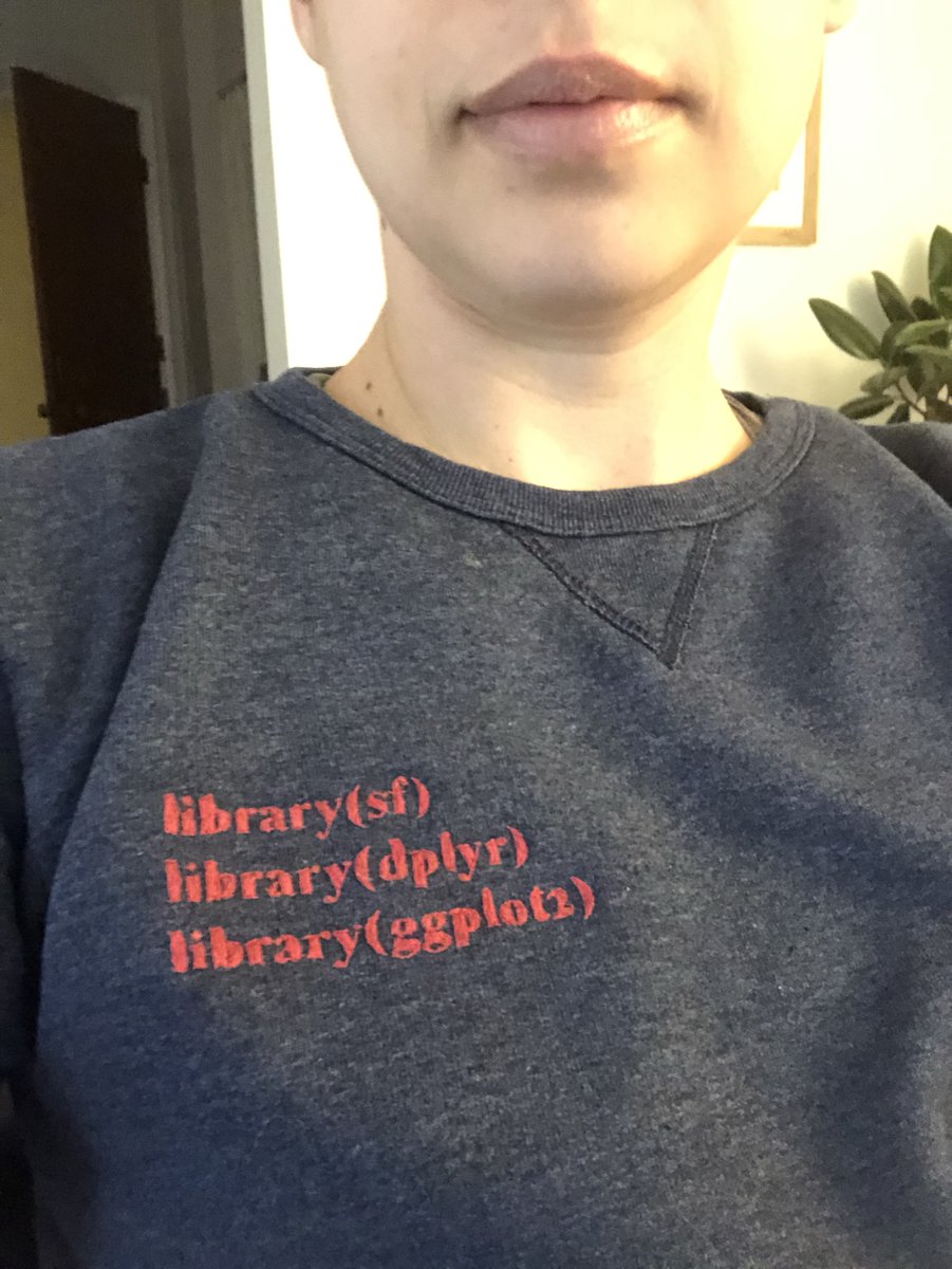 erindataviz's tweet photo. Plumbing further depths of nerdery: a hand-embroidered #rstats sweatshirt, featuring the way nearly all my code begins https://t.co/Rdri4YGmVZ