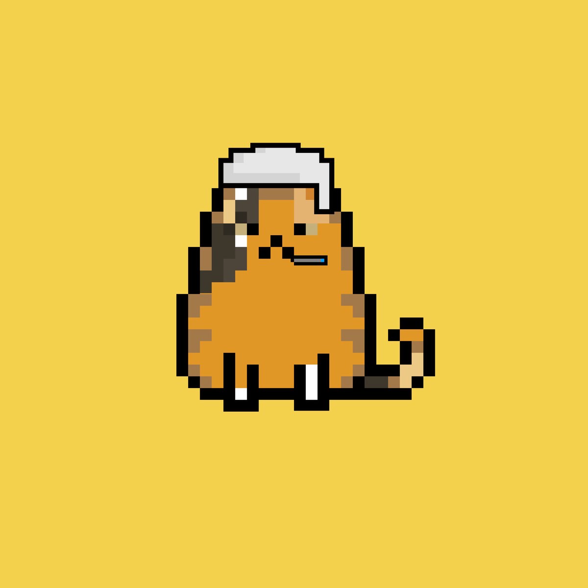 CatmintCartel's tweet photo. Ginger mood. What to choose? 

Pixel art or interactive coding???

#NFTCollection #NFTcommunity #NFT #NFTart https://t.co/Azp2LyYqyo