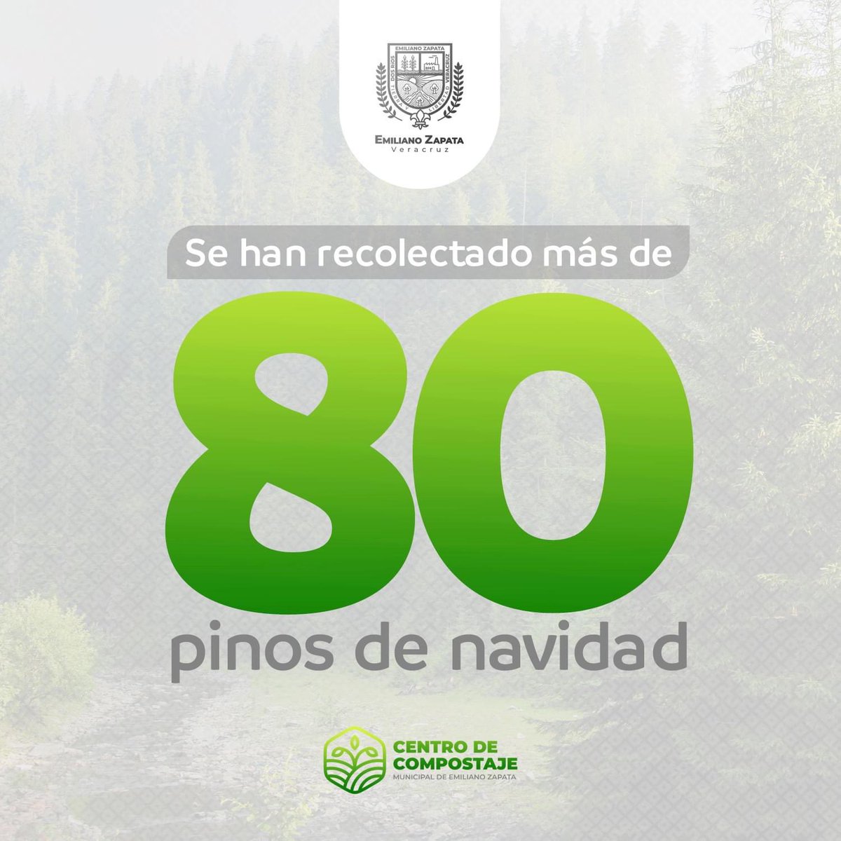 gobezapata's tweet photo. ¡No abandones tu árbol, recíclalo! 🌲

♻️ Recuerda que la campaña permanecerá hasta el día 11 de febrero.

Leer publicación completada aquí:
https://t.co/USboZ7DCfP https://t.co/GrQ0fLfg2a