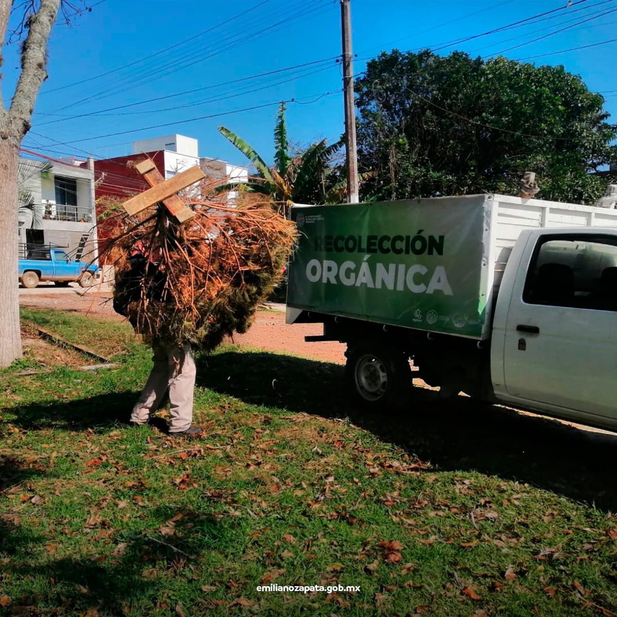 gobezapata's tweet photo. ¡No abandones tu árbol, recíclalo! 🌲

♻️ Recuerda que la campaña permanecerá hasta el día 11 de febrero.

Leer publicación completada aquí:
https://t.co/USboZ7DCfP https://t.co/GrQ0fLfg2a