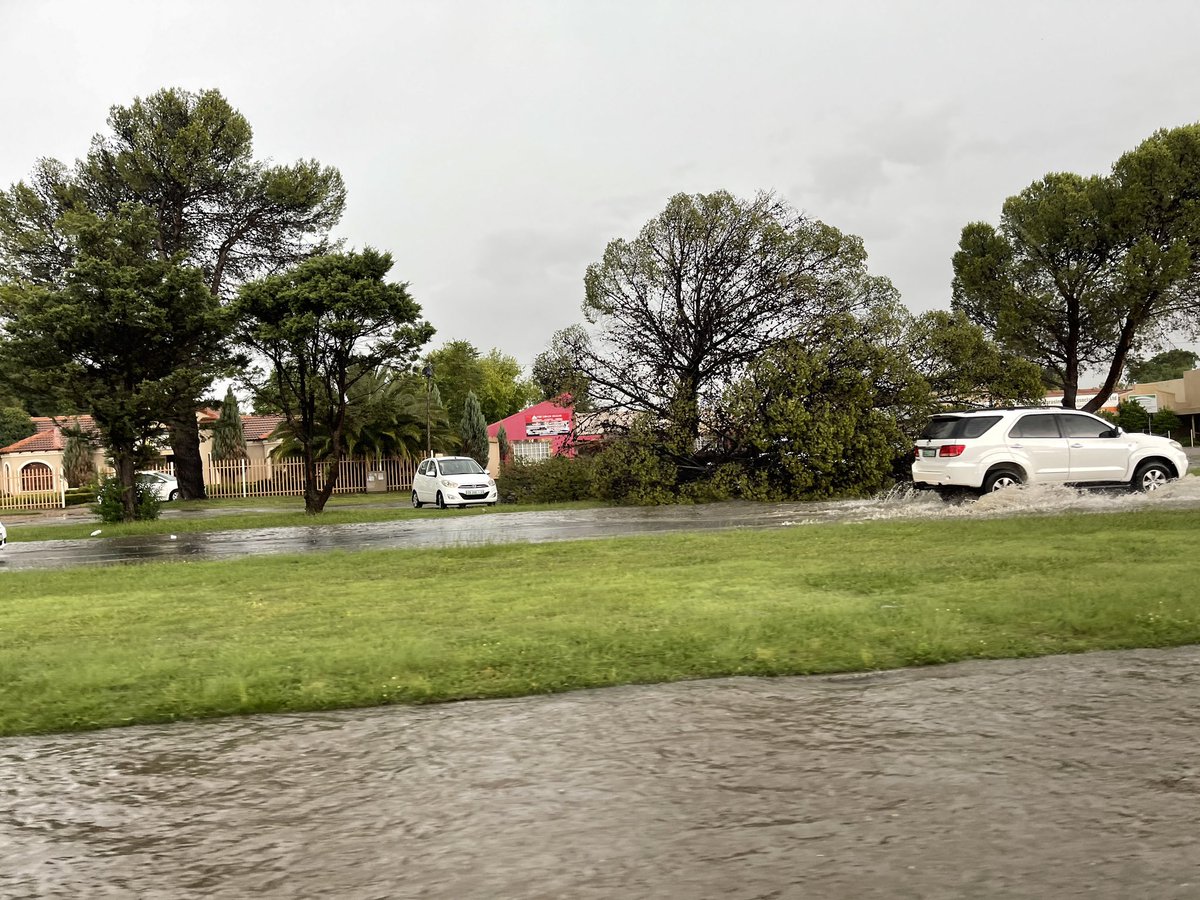 Gold_Traffic's tweet photo. {WELKOM} Tree collapsed in Stateway Doorn. Please take caution when driving there. https://t.co/CLo02upNOk