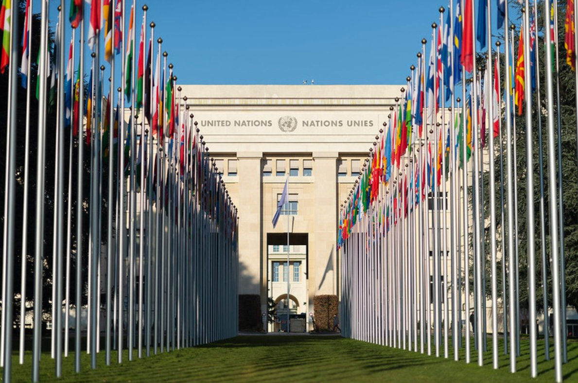 UNECE's tweet photo. 🇺🇳@UNECE gathers some 20,000 experts to develop norms, standards &amp; legal instruments. This work provides a platform for #SouthSouthCooperation, together with subregional initiatives e.g. @UN Special Programme for Economies of #CentralAsia - @algayerova in today's @UNOSSC exchange https://t.co/Gp4BVcokab