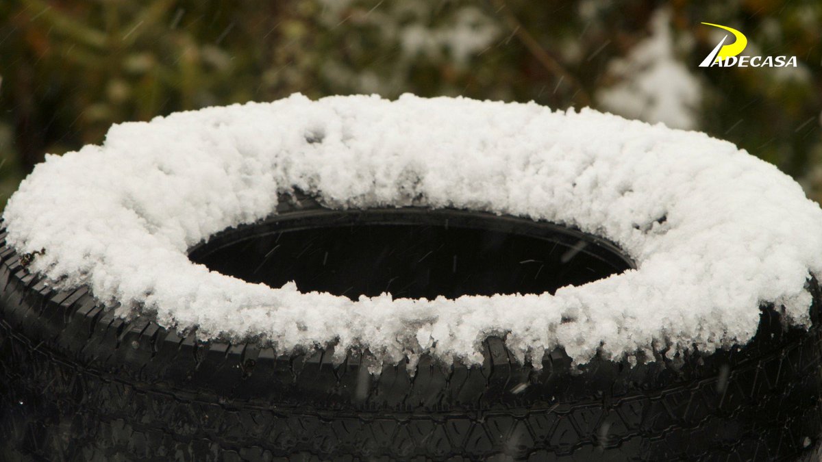 PADECASA tweet media