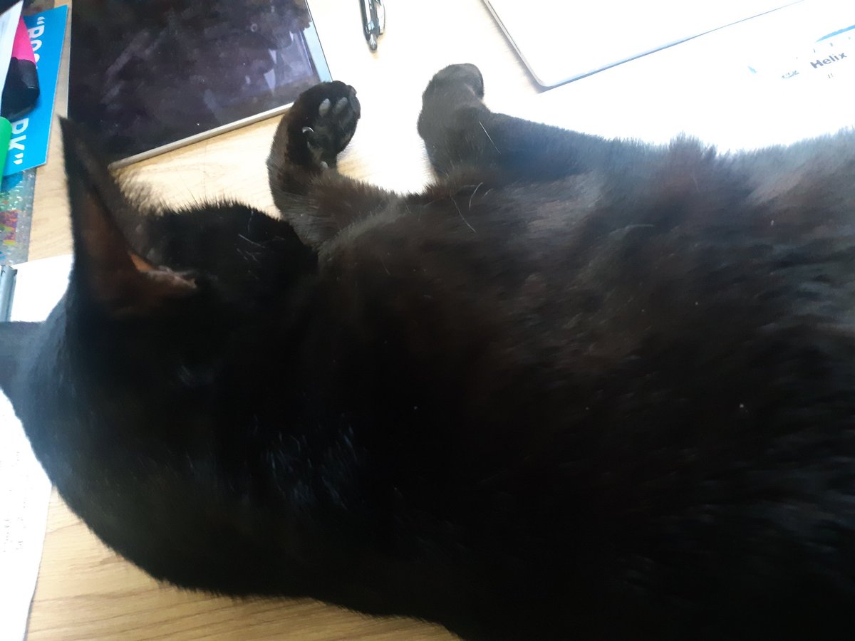 UniKentProc's tweet image. &quot;I can see you&apos;re at work... would be a shame if something happened about it.&quot;