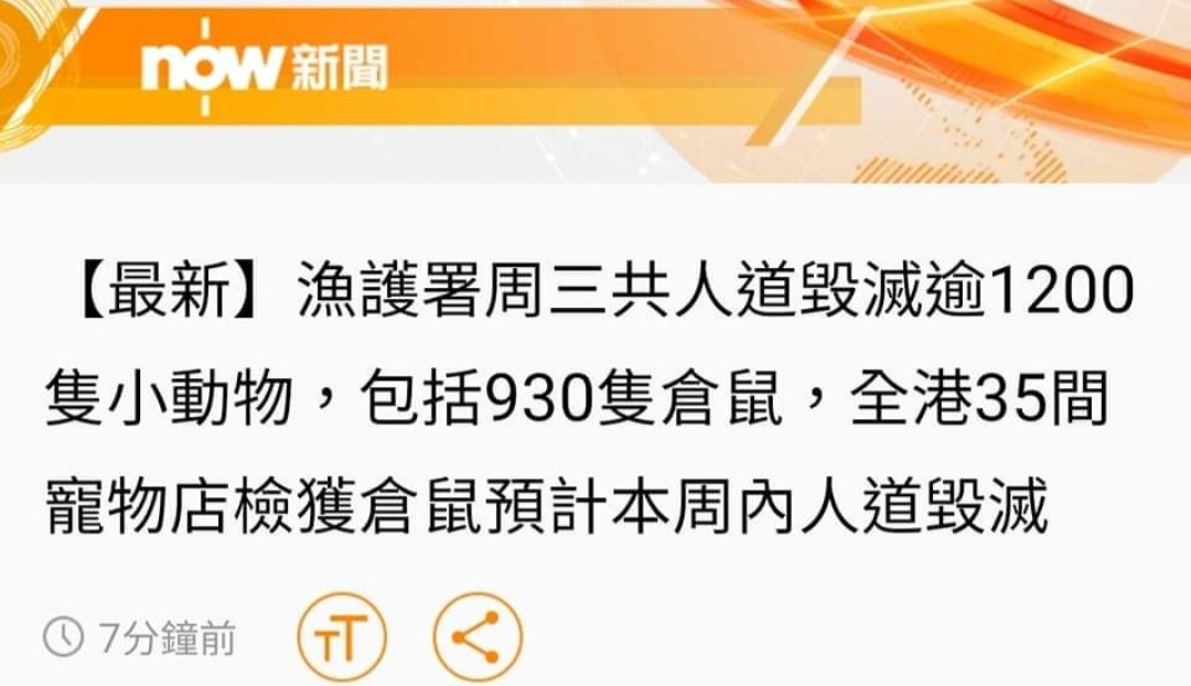 IamMsFF's tweet photo. 繼續不斷殺,務求做到香港無任何其他物種可以存在。
#killhamsters
#HongKong https://t.co/4nkLe74ohA