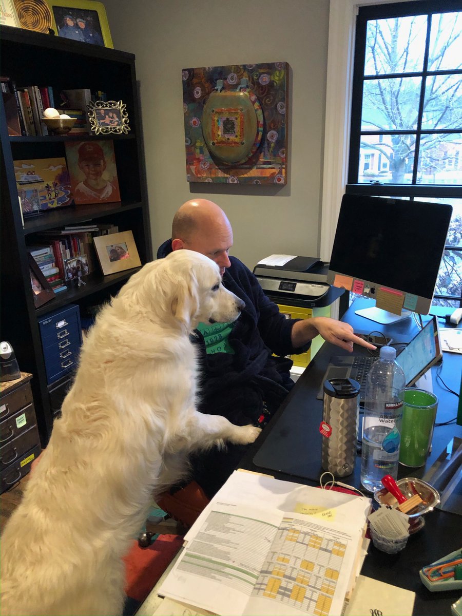 Dr. Wise is always teaching, even at home! 😊💻🐕