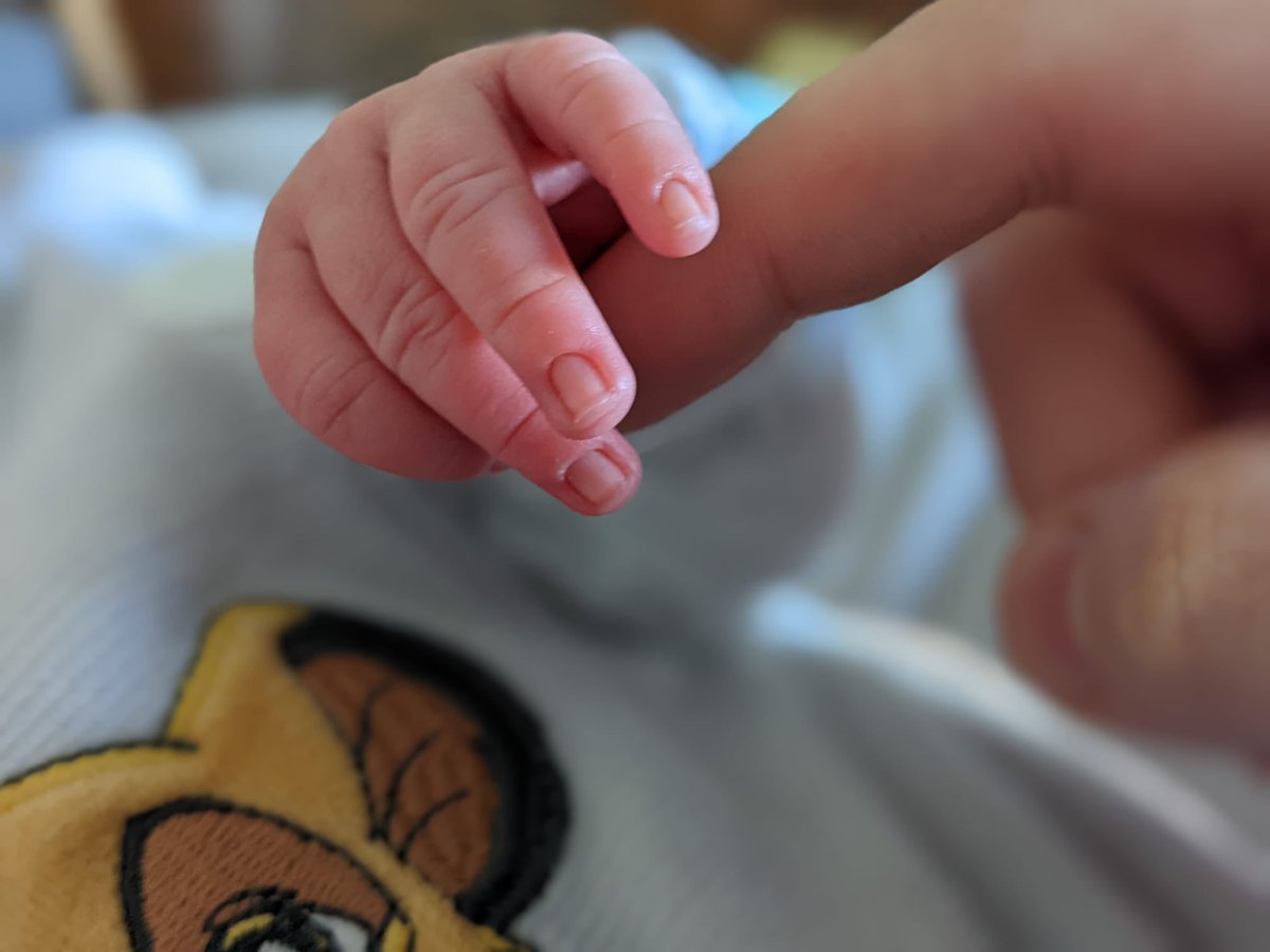 Hace una semana nació la cosa más fofinha y perfecta de este mundo, a hacerme el papá más feliz de este universo.