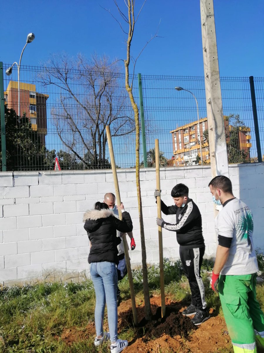 ies_jrmurube's tweet photo. "Ayer tuvimos una jornada de repoblación de árboles en el Jardín del Murube" Algunos/as alumnos/as y nuestra querida Ana La Conserje, plantaron su árbol con la ilusión de que nuestro jardín sea cada vez más acogedor. Gracias a #SEMBRADAS por todo, un lujo trabajar con ellos/as. https://t.co/bxsf4UGPuT