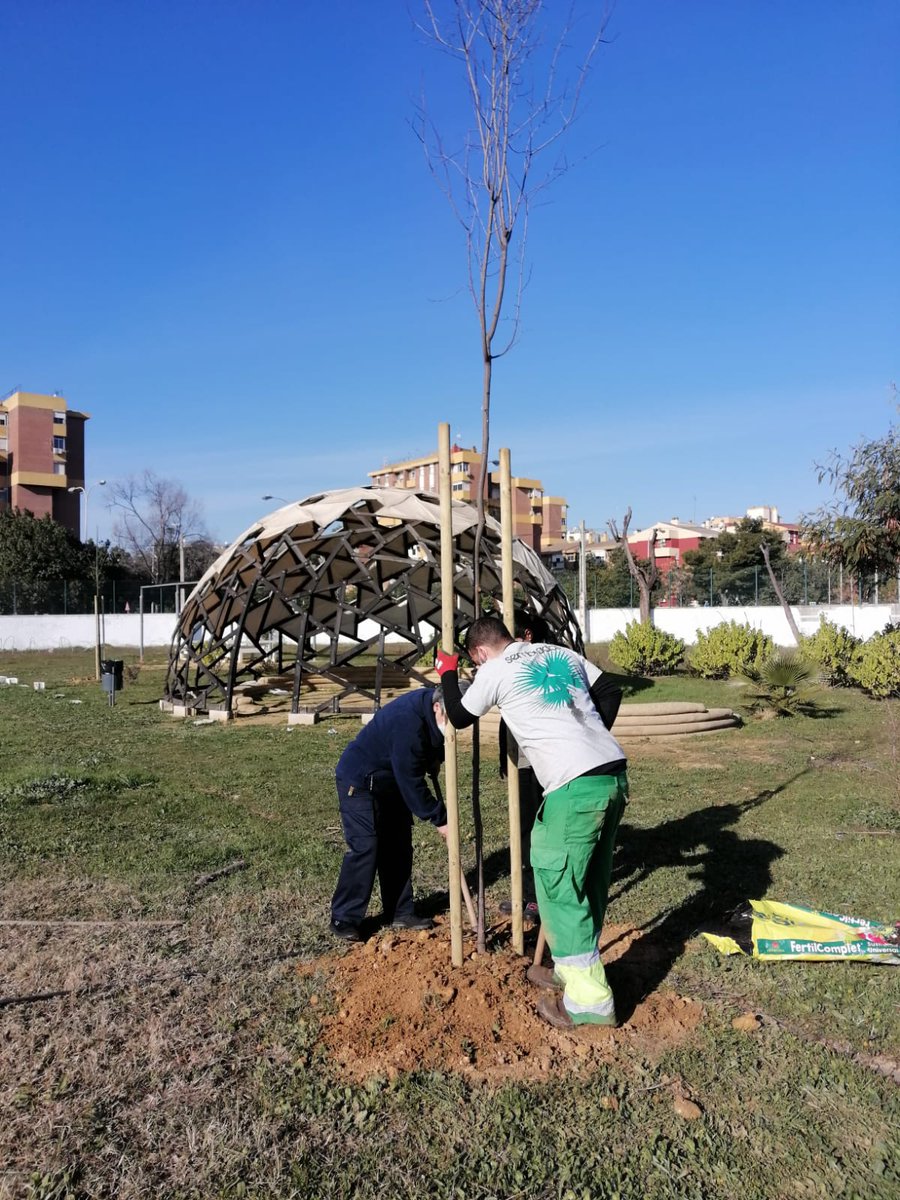 ies_jrmurube's tweet photo. "Ayer tuvimos una jornada de repoblación de árboles en el Jardín del Murube" Algunos/as alumnos/as y nuestra querida Ana La Conserje, plantaron su árbol con la ilusión de que nuestro jardín sea cada vez más acogedor. Gracias a #SEMBRADAS por todo, un lujo trabajar con ellos/as. https://t.co/bxsf4UGPuT
