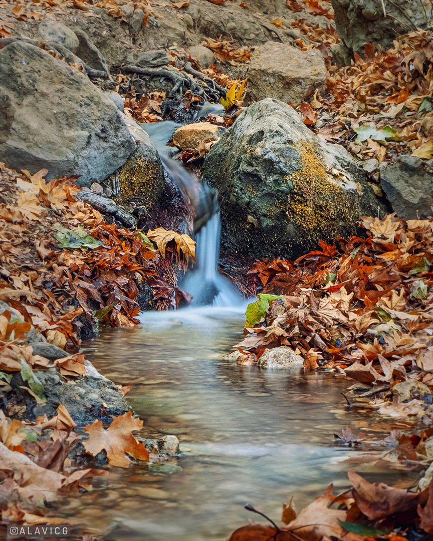 sadeghalavi11's tweet photo. I enjoy photography in nature.
One day I went to nature alone and spent hours photographing forests and rivers.
This photo is a memento of that Beautiful day.
#photography #nature #nftartist #good_feeling
#fall #nft #enjoy #alavicg https://t.co/5o8Bj2JgJB