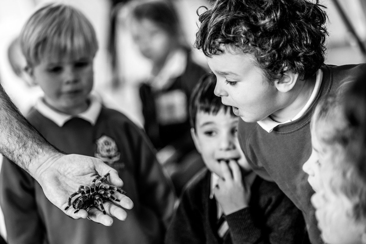 There are two ways to live: you can live as if nothing is a miracle; you can live as if everything is a miracle.       #iamccs #castlecourtcreative #castlecourtcuriosity #critters #tarantula #LearningTogether #growthmindset #natureknowsbest #nature #wildlife