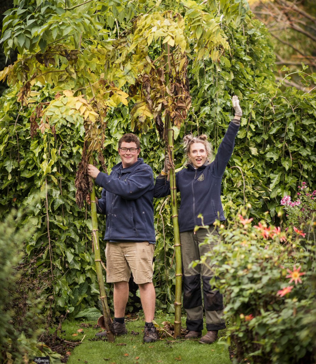 Love plants and gardening? We're looking for a Horticultural Trainee - no previous gardening experience needed. Made possible with @HeritageFundUK as part of our Glasshouse Restoration project. Open day Thursday 27 January. ow.ly/C83R50HxS0C #HeritageFund