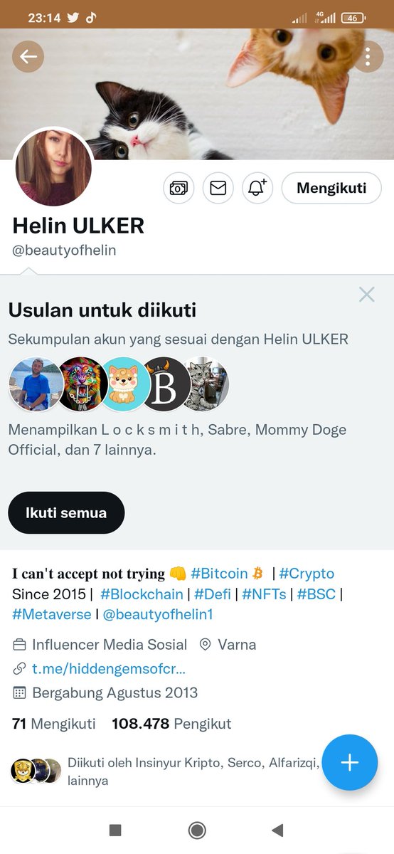 Mletredor tweet media