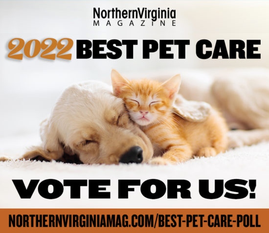It's that time of year again as <a href="/NorthernVAMag/">Northern VA Magazine</a> just launched their 2022 Best Pet Care poll.  We would be greatly appreciative to be voted in these categories: Dog Daycare &amp; Boarding, Dog Walking &amp; Pet Sitting, and Dog Training. 🐶 #bestpetcare #northernvirginia