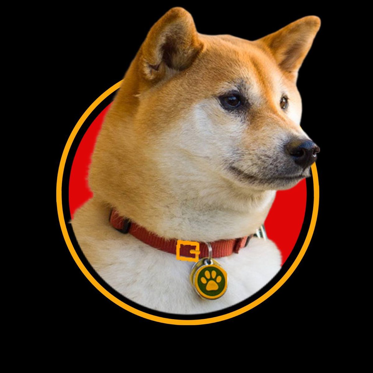 JDVision tweet media