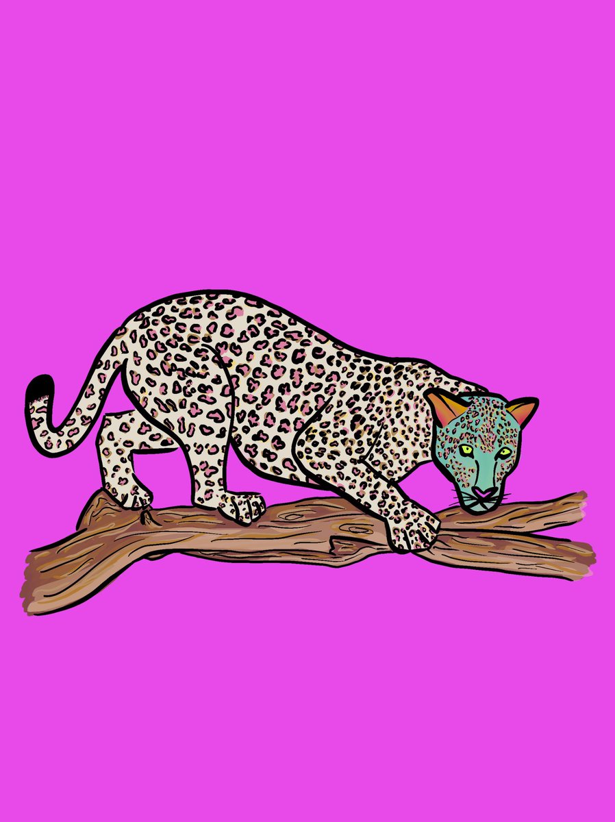 PsychoLeopards's tweet photo. Look who’s hiding 👀 

RT + Follow

#nftsonsolana #nftcollector #NFTs #NFTCommmunity https://t.co/rmpfmV6on4
