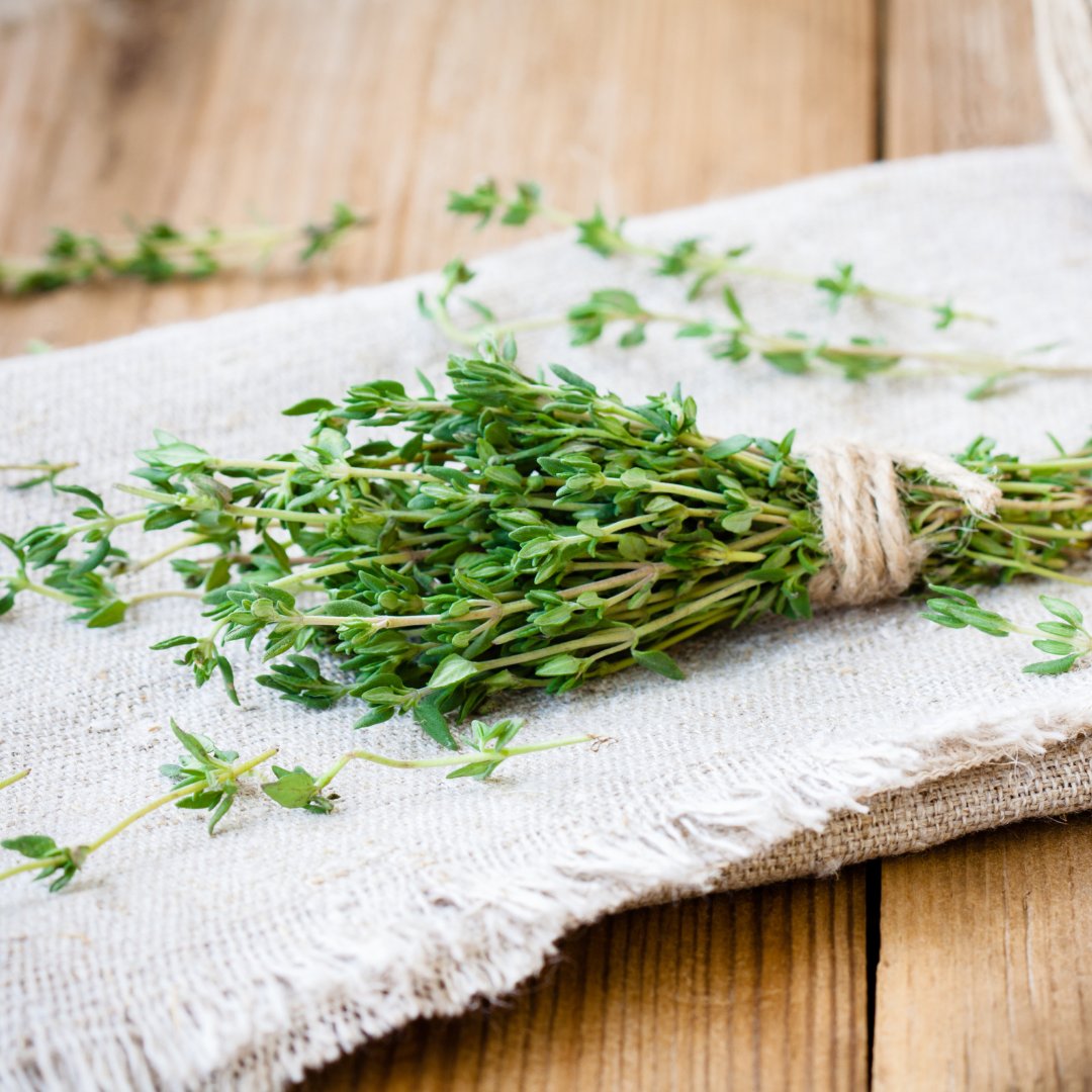 It's about THYME to grow them hydroponically! Know how to you can make Thyme shine the hydroponics way. 🌱 

Learn more about growing herbs hydroponically here: ed.gr/dur3u 

#gardening #hydroponics #growingherbs #urbanfarming #outdoorgardening