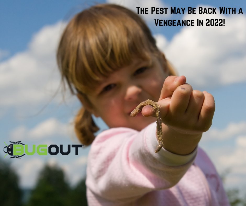 BugOut_Service's tweet image. &quot;Mild winter leads to fall armyworm concerns&quot;. Read More Below!

Need Pest Control Services? Visit bugoutservice.com/pest-control/ NOW! 

Article: 
farmprogress.com/insects/mild-w…