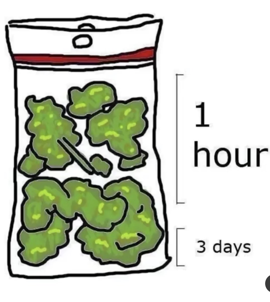 TheSmokersClub's tweet photo. pretty much https://t.co/68XAsjT1yf