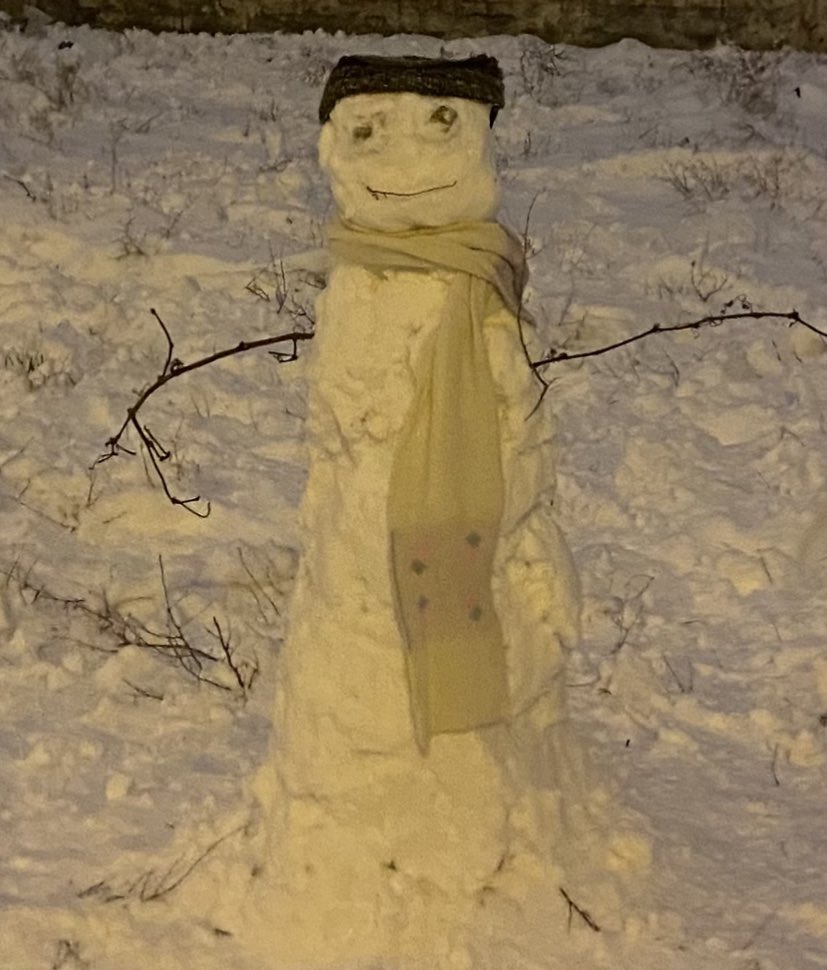 Herkesin kardan adamına laf ettikten sonra yaptığım kardan adam