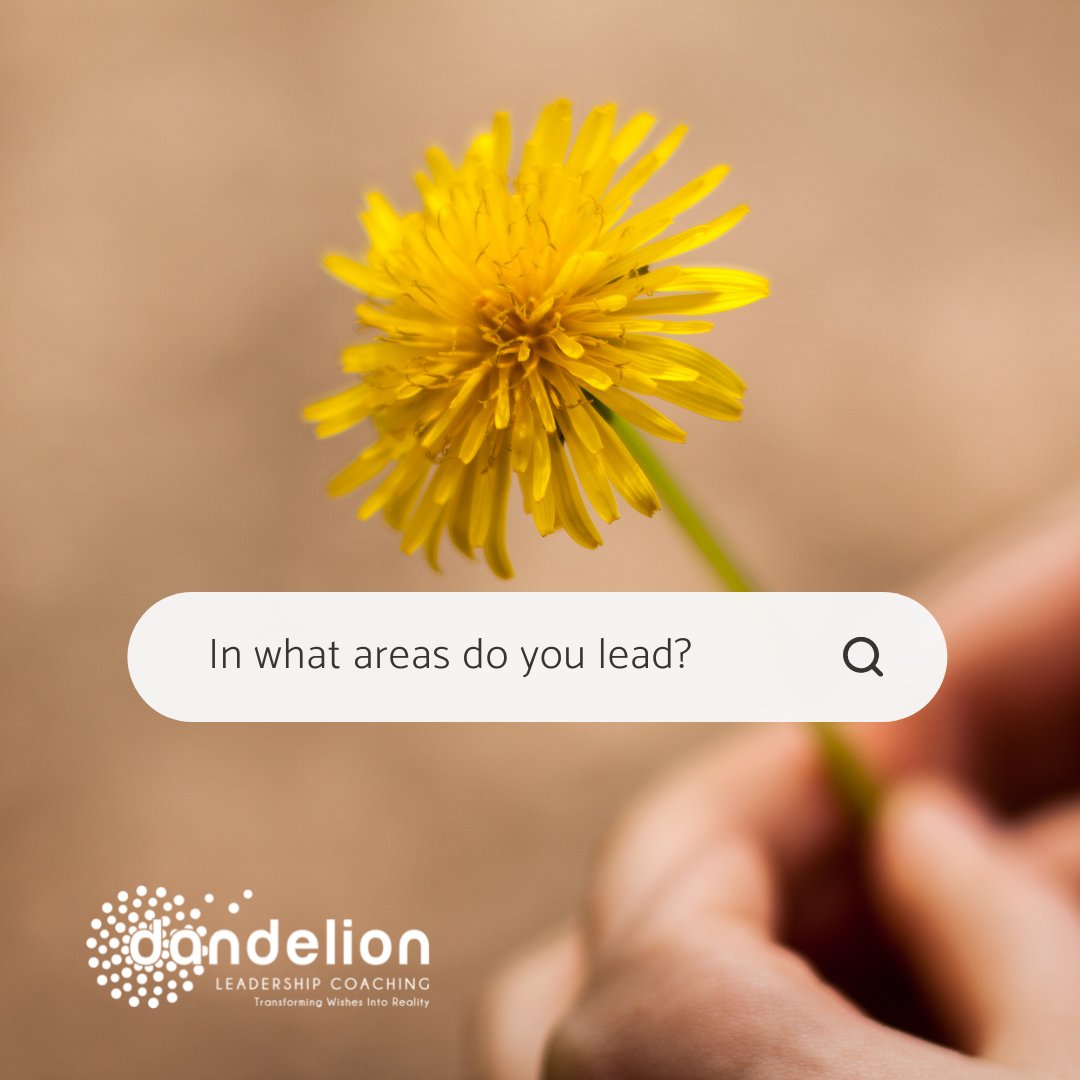 Where/how are you leading?

#dandelionleadershipcoaching #leadershipcoaching #professionalcoaching #leadershipcoachingforwomen #leadership #leadershipattributes