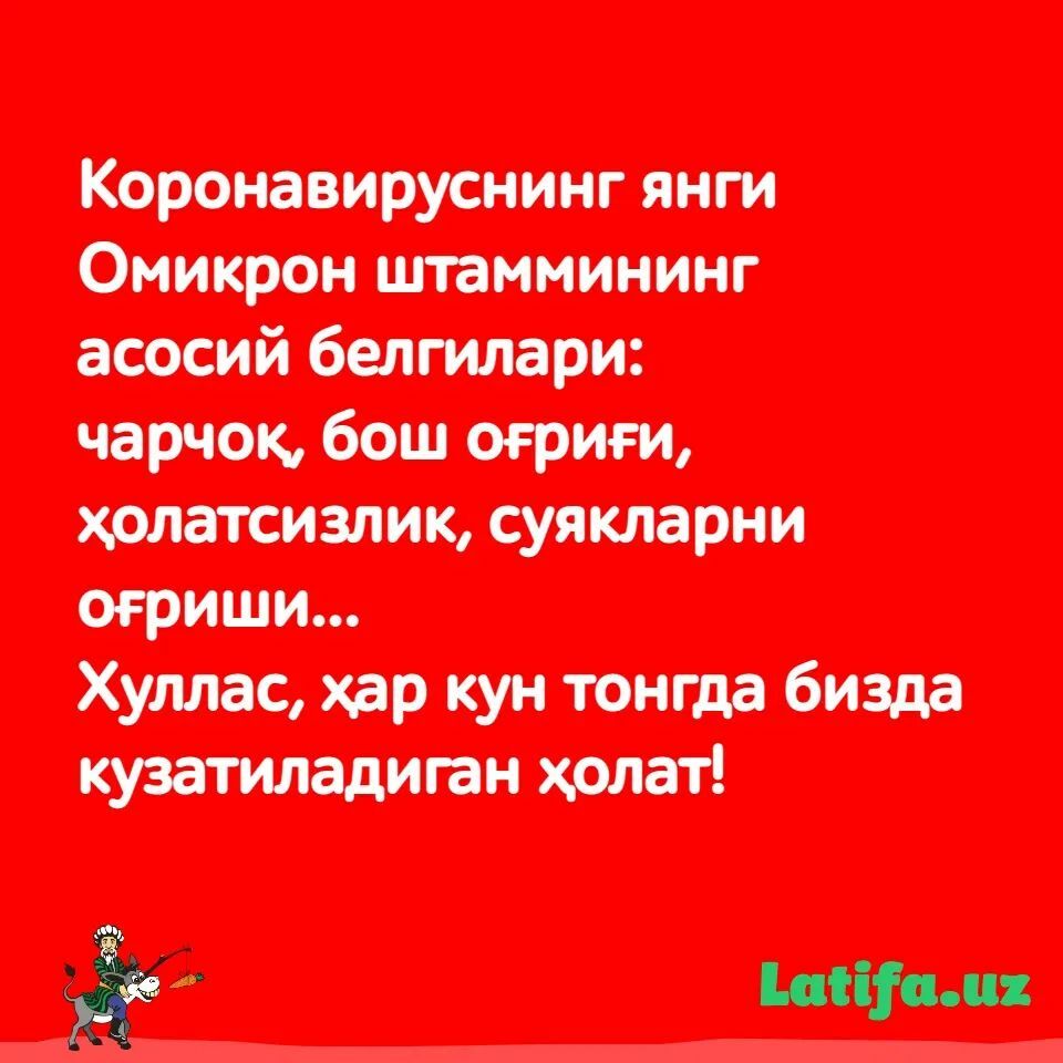 latifa_uz's tweet photo. #latifalar #prikollar #loflar #uzbekistan #uzb #uz #tashkent #toshkent #latifa #latifa_uz #toshkentcity https://t.co/JS4ioRkaNh