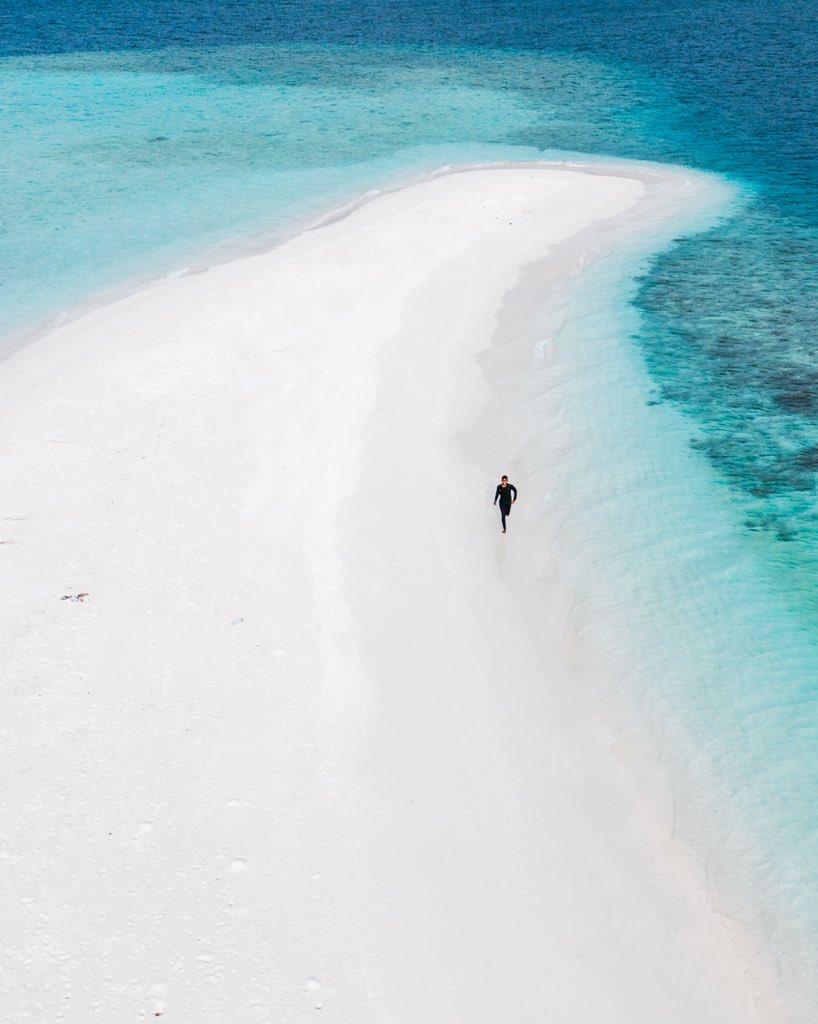MantaDhangethi's tweet photo. White sandy beaches as far as the eye can see. Visit a sandbank and have it all to yourself in the Maldives. A truly liberating experience to have it all to yourself. #visitmantadhangethi

#sandbank #maldives #dhangethi #sea #beach #fun #excursion #mantadhangethi #visitdhangethi https://t.co/Je9TakKPlh
