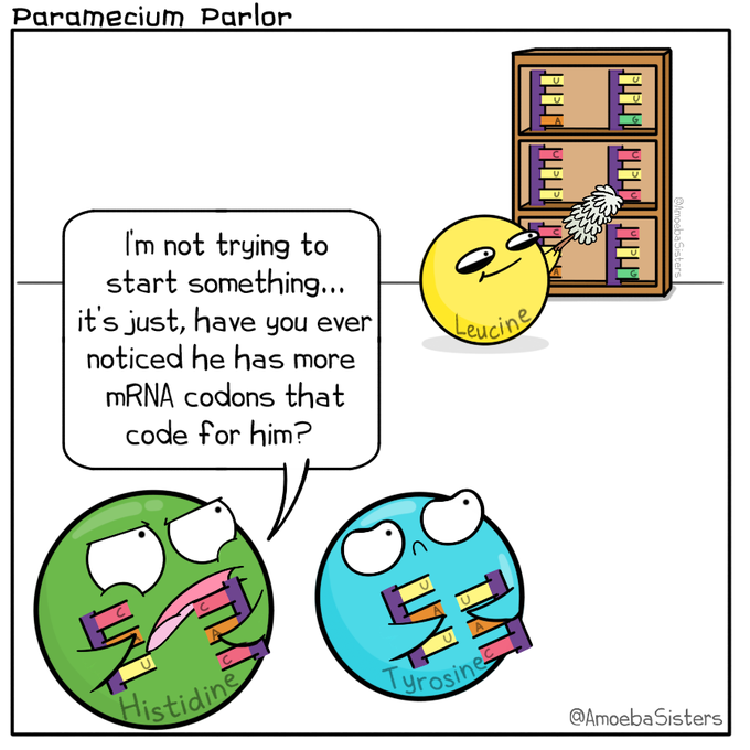 Tell us your secrets, Leucine!! 🤔🧐

Image by Amoeba Sisters

#aminoacid #lablife #laboratory #biotechnology #molecularbiology #lifesciences #sciencememes #laboratorylife #labmemes #phdlife