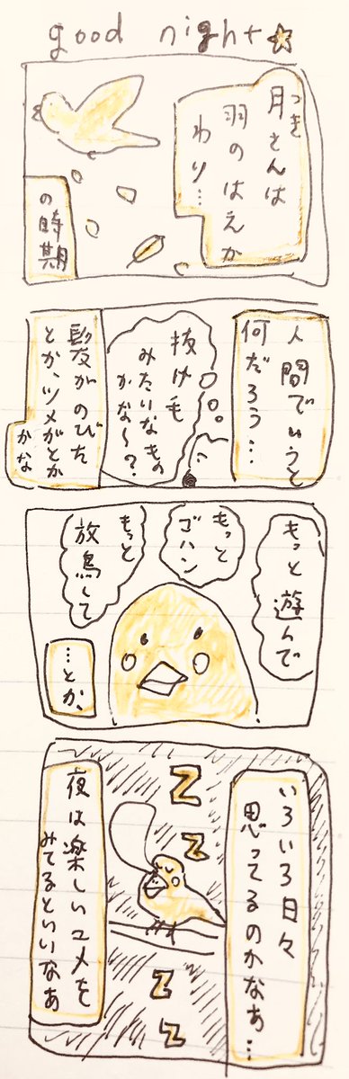 おやすみ🌙 