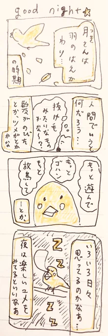 おやすみ🌙 