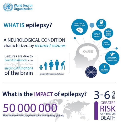 BrainCenterNSCF's tweet photo. A seizure can happen without warning. Learn
about triggers and find the right medication. Our
Neurologists have extensive experience in diagnosing
and treating epilepsy...
Call TODAY! 786.565.8735 or visit us at
https://t.co/vENcsy862f
.
.
#epilepsy #epilepsywarrior #braincenter https://t.co/iQMcNlXe5x