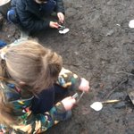 Image for the Tweet beginning: Sycamore class were learning about