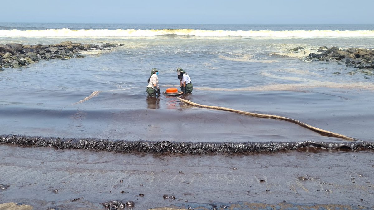 SERNANP's tweet photo. Personal del @SERNANP se encuentra en diferentes espacios de nuestras Áreas Naturales Protegidas atendiendo emergencia ambiental producida por derrame de petróleo. En Playa Pocitas, en la Zona Reservada de Ancón, se está apoyando en la extracción de hidrocarburo. https://t.co/7rD9ixFHFC