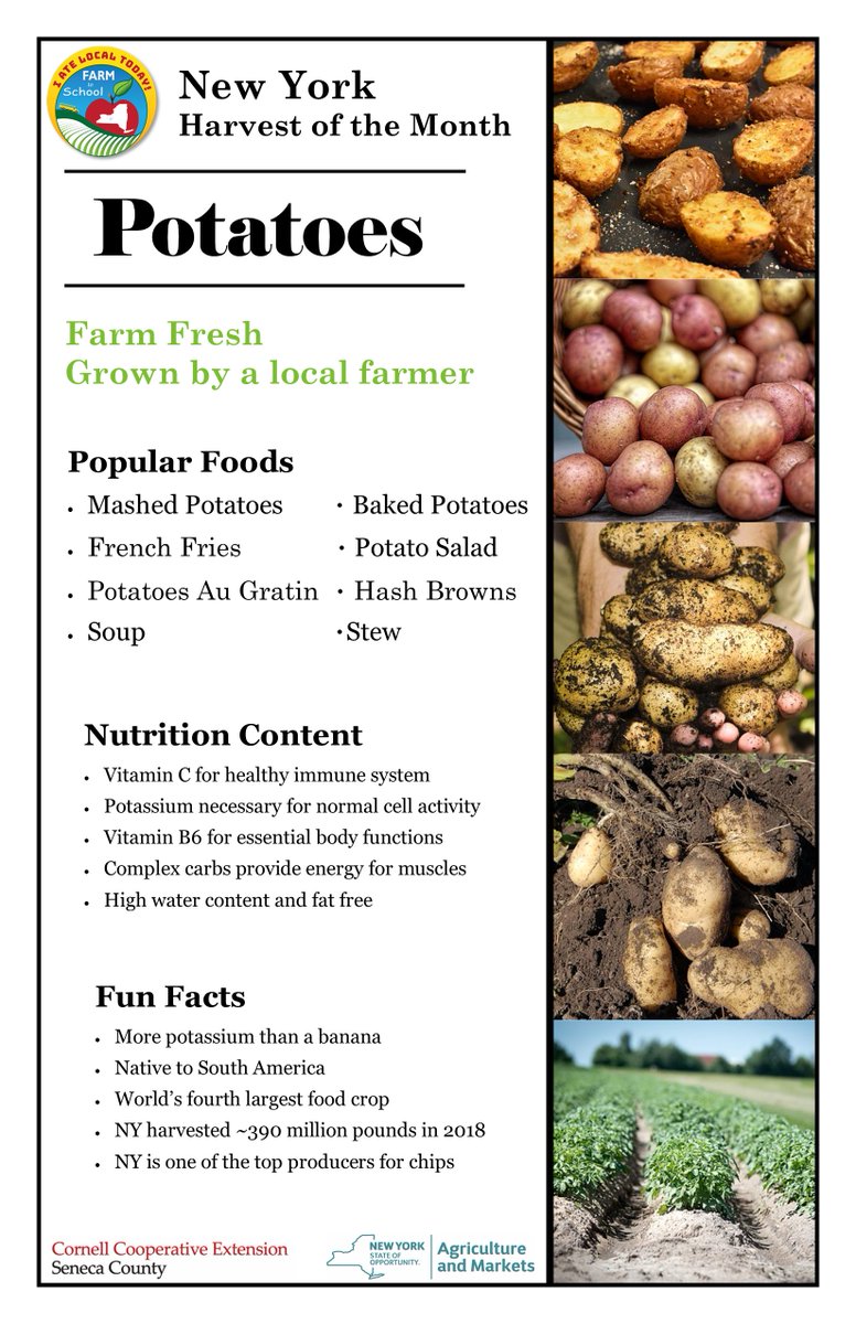 CCE Seneca County tweet media